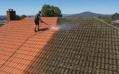 Roof Cleaning in Canberra: What Actually Works