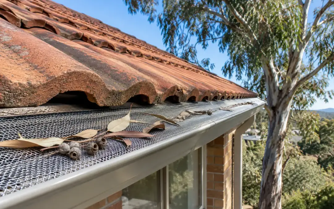 Is Gutter Guard Worth It in Canberra? An Honest Take