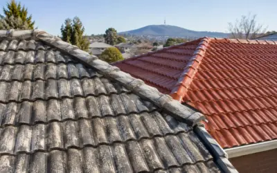Terracotta vs Concrete Roof Tiles: A Canberra Guide