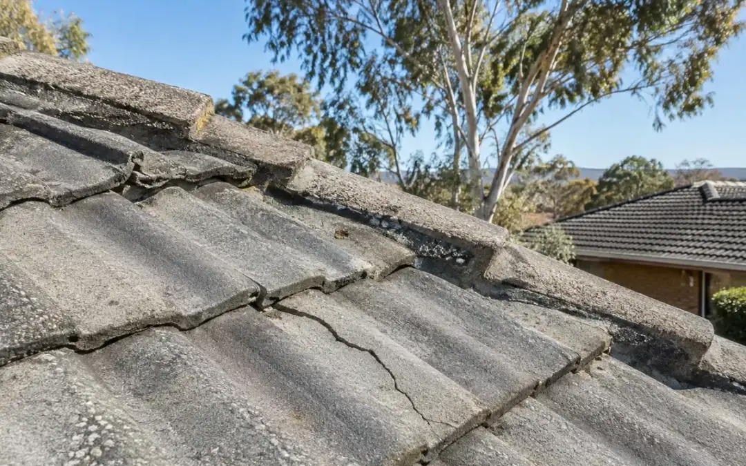 Cracked Roof Tiles in Canberra: Fix Now or Wait?